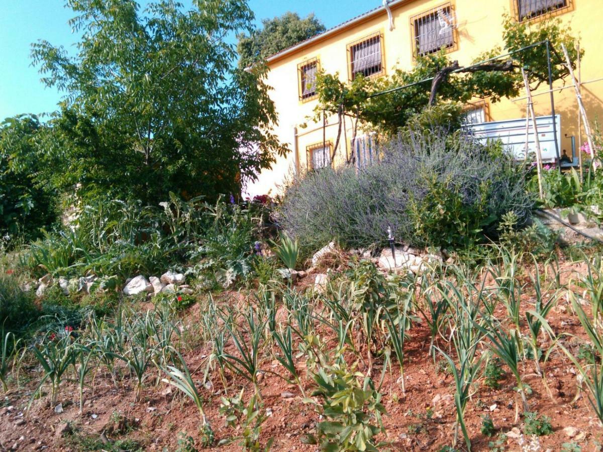 Вілла Cortijo De La Cruz Існахар Екстер'єр фото